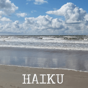 1 blok haiku2