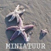 2 miniatuurknop